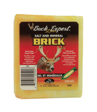 Buck Expert Buck Expert Salt and Mineral Brick