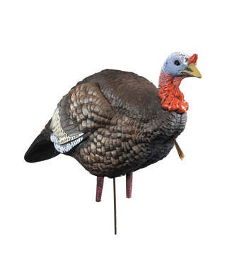 Hard Body 1/4 Strut Jake Decoy