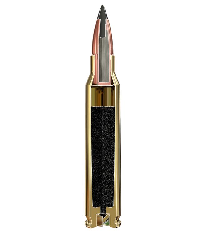 Winchester 204 Ruger 32gr Varmint X Polymer Tip