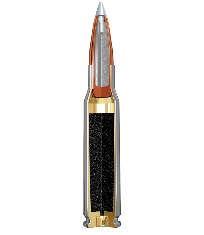 Winchester Ammo Ballistic Silvertip 308 Win 150gr 20rd