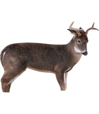 Montana Decoy Co. Montana Decoy Co   The Freshman Whitetail Buck