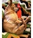 ROCT Outdoor Gear Crazy Croc Rubber Dog Toy Orange w/Squeaker