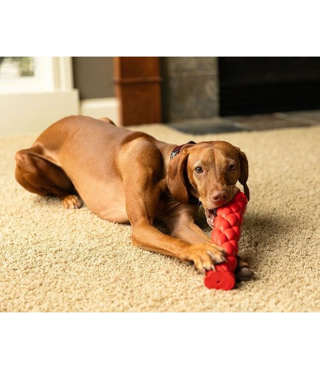 ROCT Outdoor Gear Battle Baton Rubber Dog Toy w/Squeaker Red