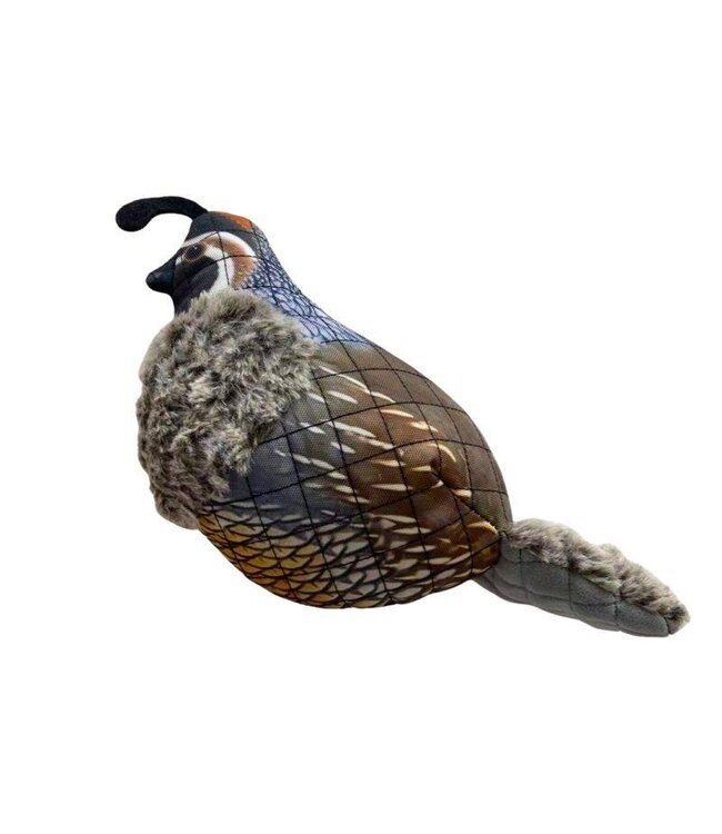 ROCT Outdoor Gear Mallard Dog Toy w/Medium Squeaker