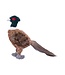 ROCT Outdoor Gear Pheasant Dog Toy