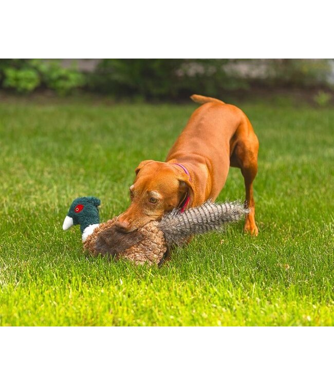 ROCT Outdoor Gear Pheasant Dog Toy
