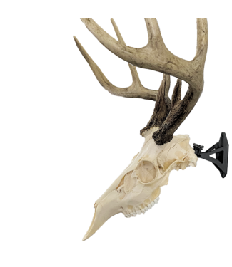 Wicked North The Hang Up European Mounting Bracket