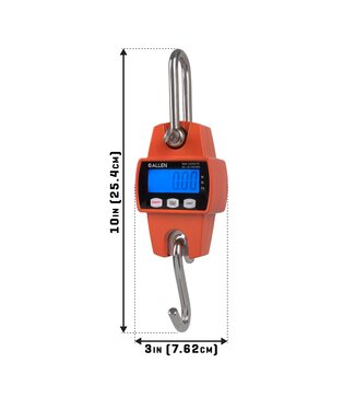Allen Digital Game Scale