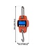 Allen Digital Game Scale