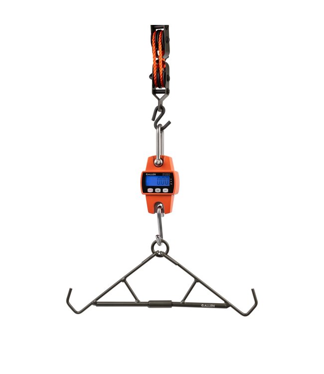 Allen Allen Digital Game Scale