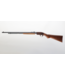 Springfield 22LR G#5289 - 24in - Pump - Cond: G