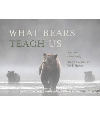 Heritage House What Bears Teach Us Book by Sarah Elmeligi
