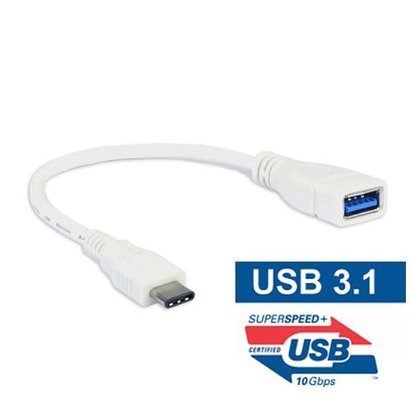 6 inch USB 3.1C Male to 3.1A Female Adapter Cable