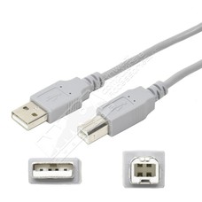 USB 2.0 A Male to B Male Printer Cable, Gray (Choose Length)