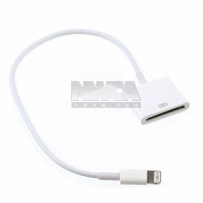 6" 8-pin Male to 30-pin Female