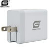 Gigacord Gigacord 2-Port USB 4.8A (2x2.4A) Wall Charger, Foldable Plug, White