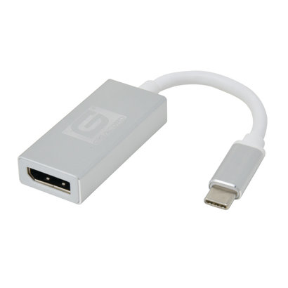 Gigacord Gigacord USB-C Type-c Male to DisplayPort Female Adapter, Silver