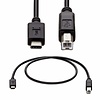 3Ft USB C to USB 2.0 B Printer Cable