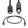 6Ft USB C to USB 2.0 B Printer Cable