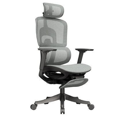 Gigacord Gigacord Gray Full Frame Office Ergonomic Executive Lumbar Support Mesh Chair 3D Armrest Footrest Casters