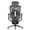 Gigacord Gigacord Gray Full Frame Office Ergonomic Executive Lumbar Support Mesh Chair 3D Armrest Footrest Casters