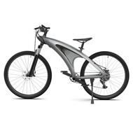 Kixin Kixin Electric Mountain Bike Q5 13AH 400W Motor, 48V/650W Max Speed 45km/h, Gray