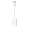 Gigacord iPhone Lighting to USB-C Male Adapter, White