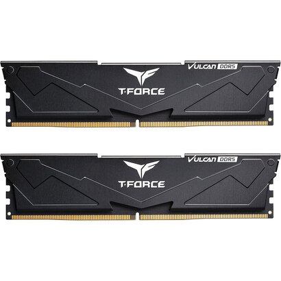 Teamgroup TEAMGROUP T-Force Vulcan DDR5 32GB (2x16GB) 6000MHz (PC5-48000) CL38 Intel XMP 3.0 & AMD Expo Compatible Desktop Memory Module Ram Black - FLBD532G6000HC38ADC01