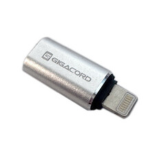 Gigacord Gigacord iPhone Lightning Male to USB C Female Adapter Converter