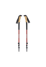 ergo cork trekking pole