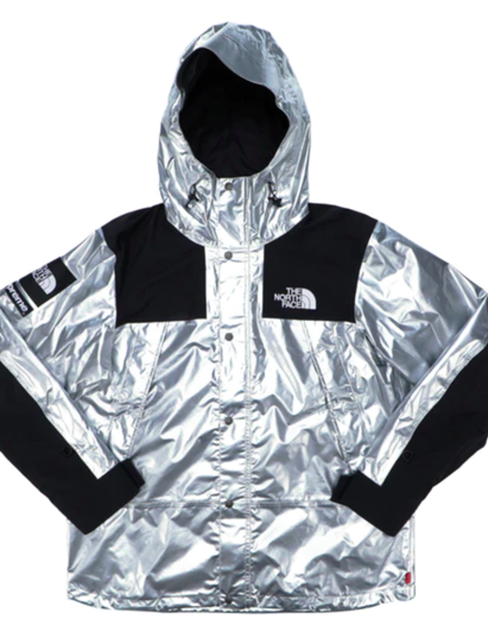 supreme the north face metallic mountain parka