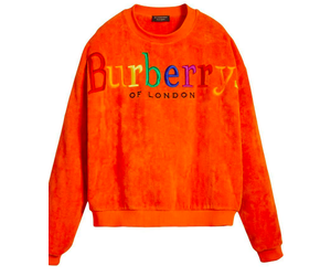 burberry sweatshirt rainbow