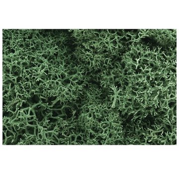 WOODLAND WDS-162 - Woodland : Lichen Light Green