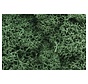 Woodland : Lichen Light Green