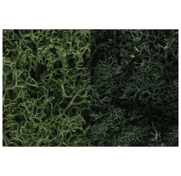 WOODLAND WDS-168 - Woodland : Lichen Dark Green