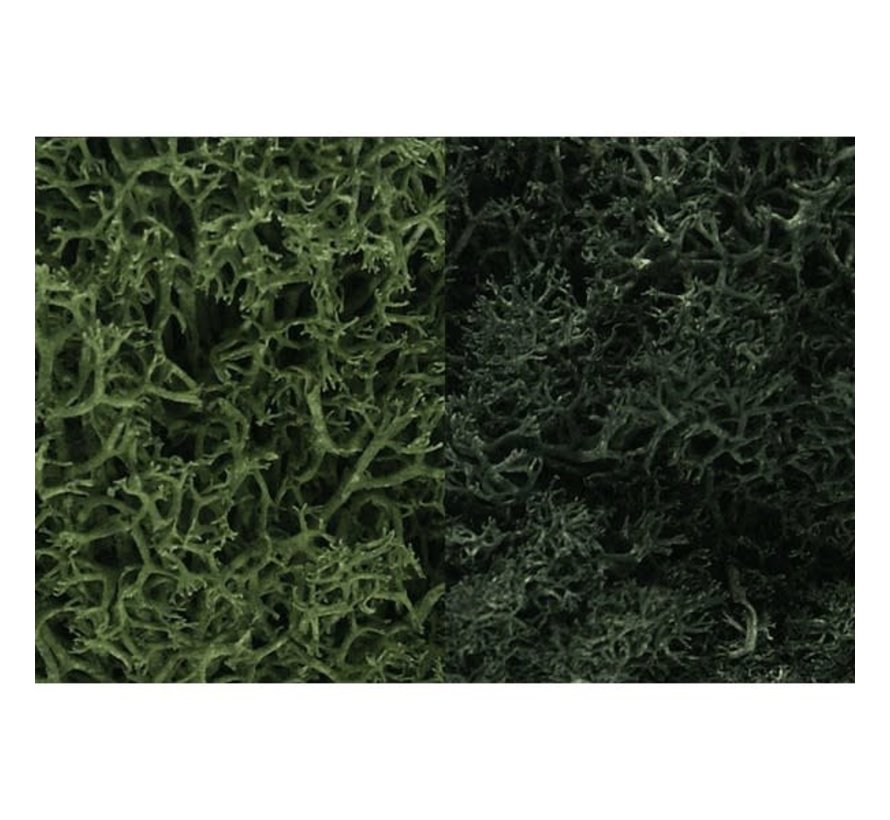 Woodland : Lichen Dark Green