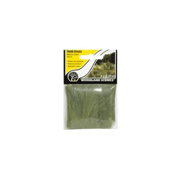 WOODLAND WDS-174 - Woodland : Filed Grass Medium Green