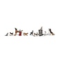 Woodland : N Dogs & Cats