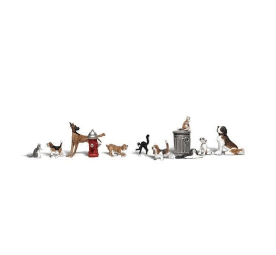 Woodland : N Dogs & Cats