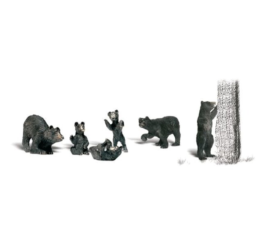Woodland : N Black Bears
