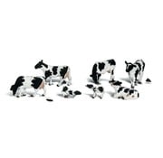 WOODLAND WDS-2187 - Woodland : N Holstein Cows