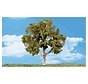 Woodland : Waters Edge Trees 2" - 3"