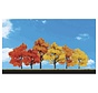 Woodland : Harvest Blaze Trees 1.25" - 3"