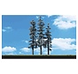 Woodland : Standing Timber Trees 7"- 8"