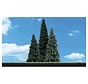 Woodland : Forever Green Trees 2" - 3.5"