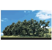 WOODLAND WDS-3581 - Woodland : Hedge Row Trees 1" - 2"