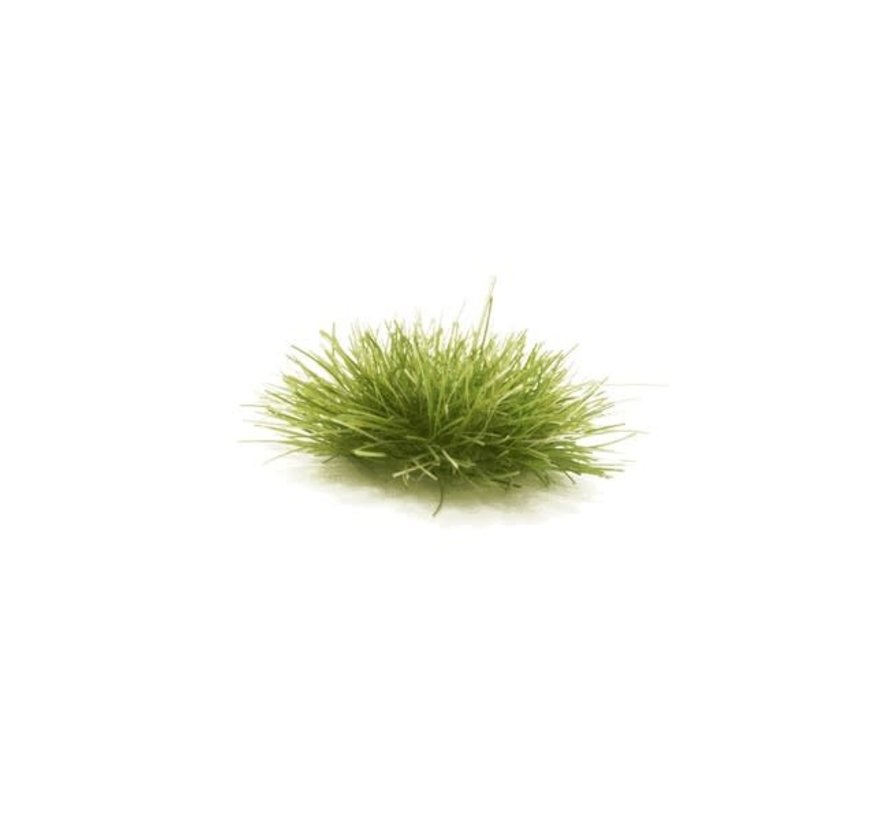 Woodland : Medium Green Grass Tufts