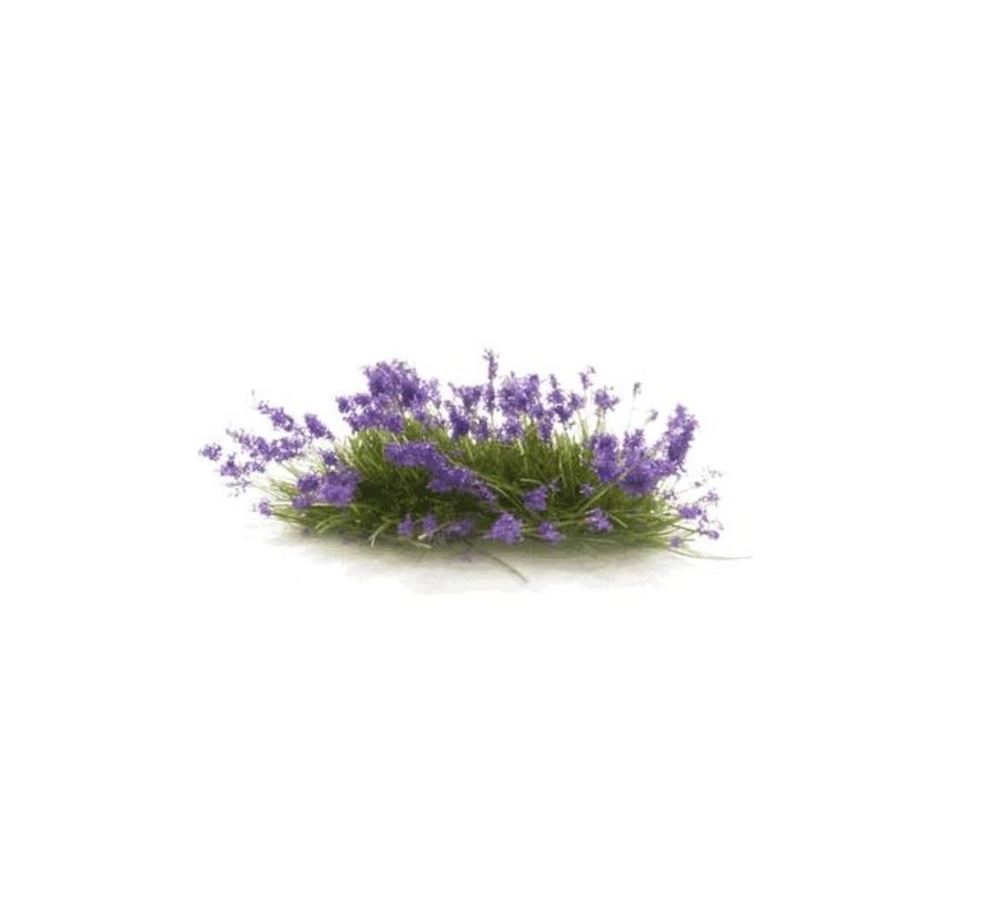 Woodland : Violet Flowering Tufts