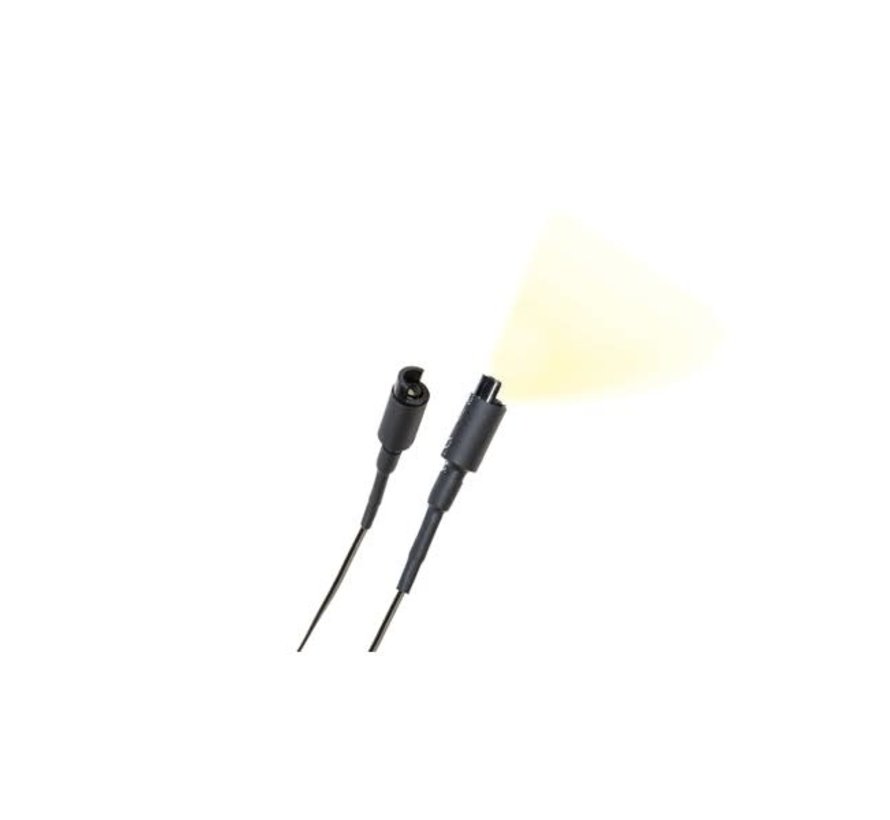 Woodland : Floodlight (2-pcs)