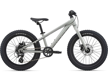 Giant Giant 2025 STP 20 Giant Giant 2025 STP 20